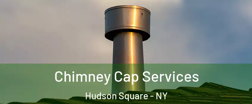 Chimney Cap Services Hudson Square - NY
