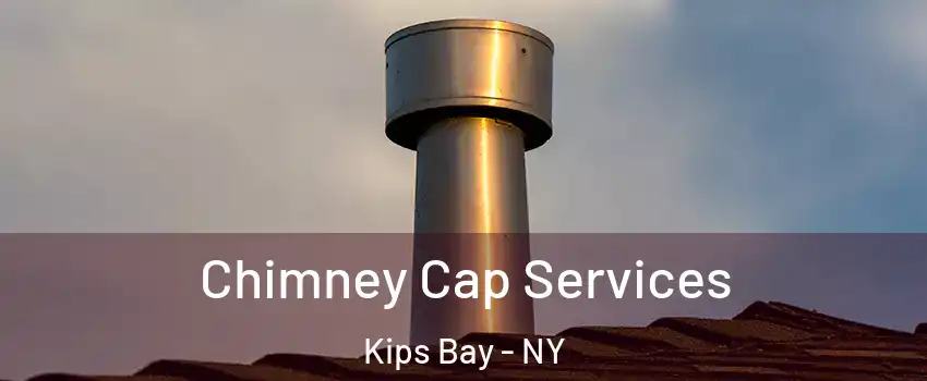 Chimney Cap Services Kips Bay - NY