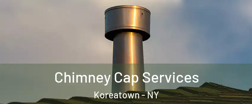 Chimney Cap Services Koreatown - NY