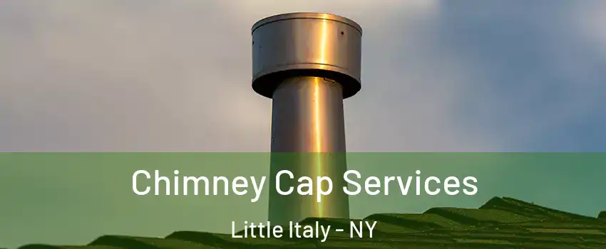 Chimney Cap Services Little Italy - NY