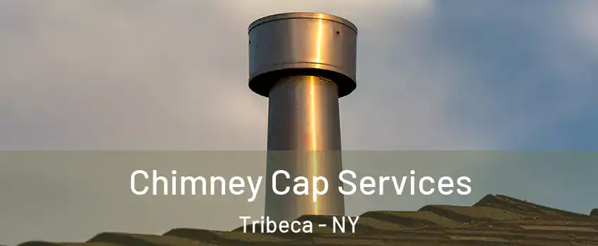 Chimney Cap Services Tribeca - NY