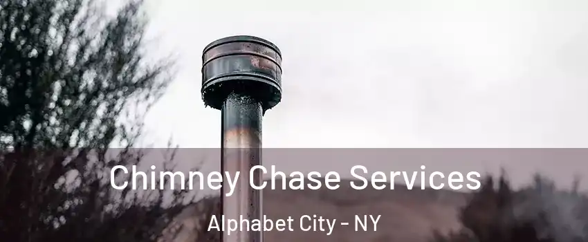 Chimney Chase Services Alphabet City - NY