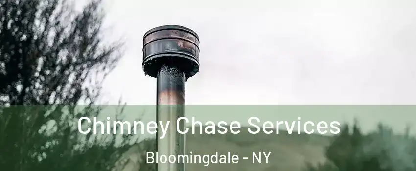 Chimney Chase Services Bloomingdale - NY