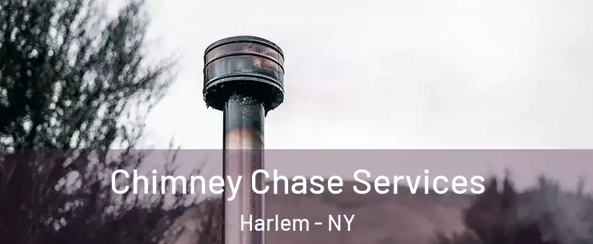 Chimney Chase Services Harlem - NY