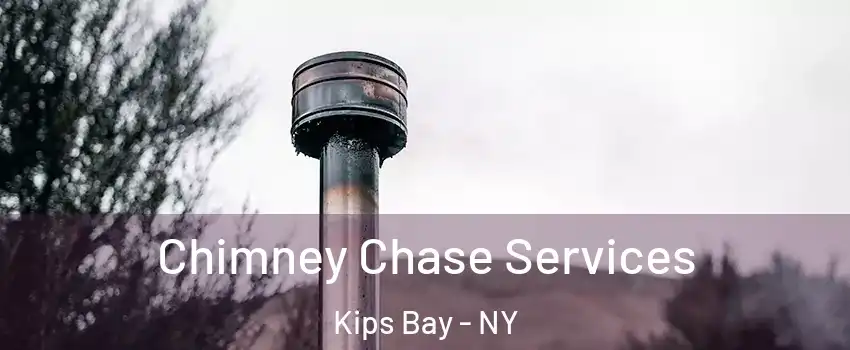 Chimney Chase Services Kips Bay - NY
