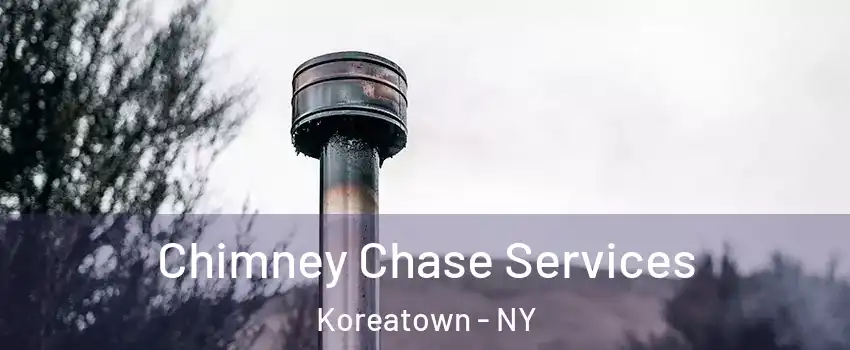 Chimney Chase Services Koreatown - NY