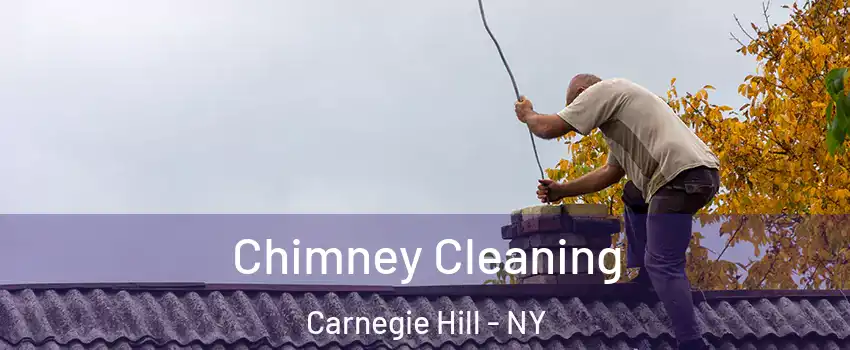 Chimney Cleaning Carnegie Hill - NY