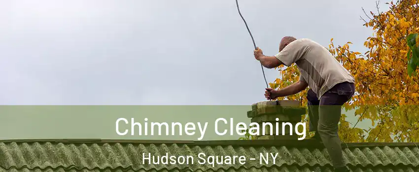 Chimney Cleaning Hudson Square - NY