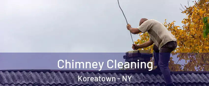 Chimney Cleaning Koreatown - NY