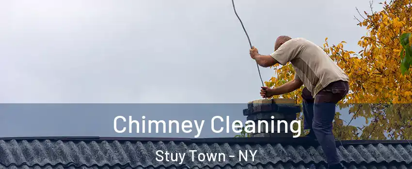 Chimney Cleaning Stuy Town - NY