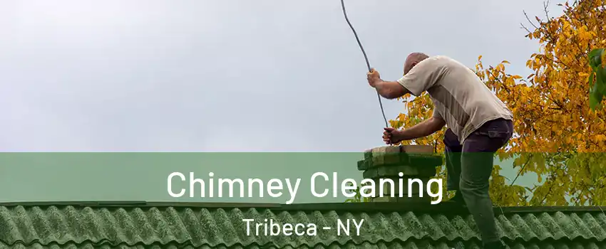 Chimney Cleaning Tribeca - NY