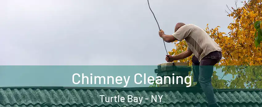 Chimney Cleaning Turtle Bay - NY