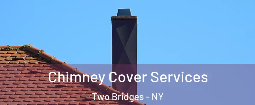 Chimney Cover Services Two Bridges - NY