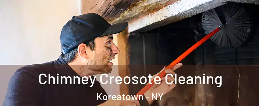 Chimney Creosote Cleaning Koreatown - NY