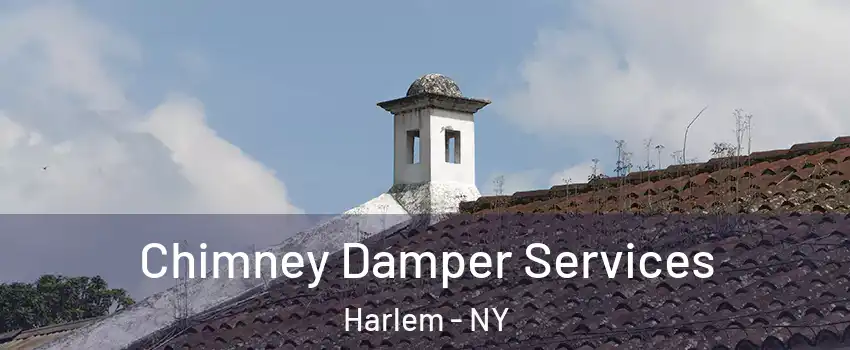 Chimney Damper Services Harlem - NY