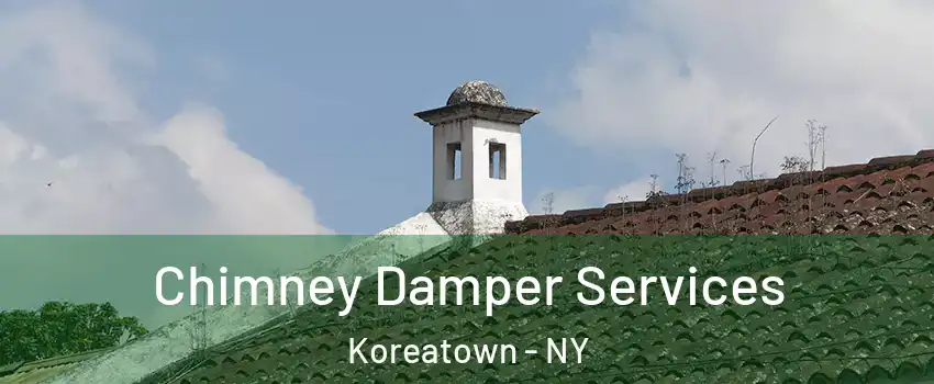 Chimney Damper Services Koreatown - NY