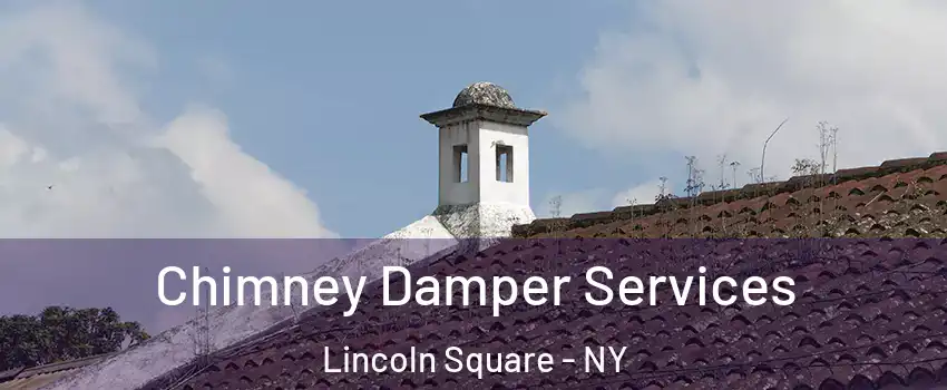 Chimney Damper Services Lincoln Square - NY