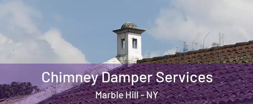 Chimney Damper Services Marble Hill - NY