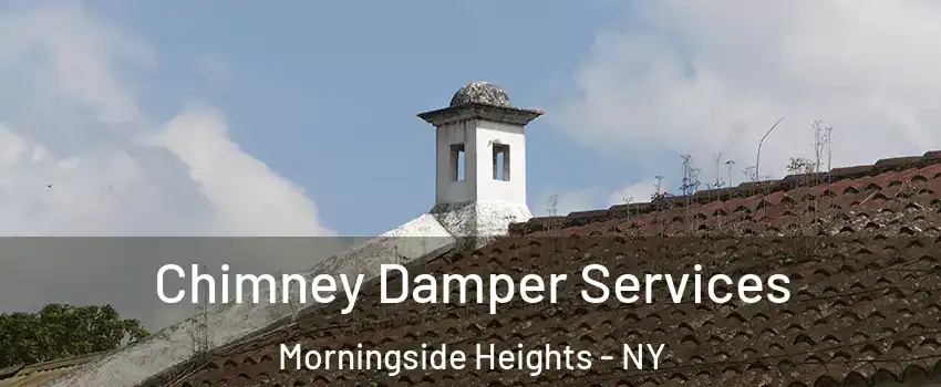Chimney Damper Services Morningside Heights - NY