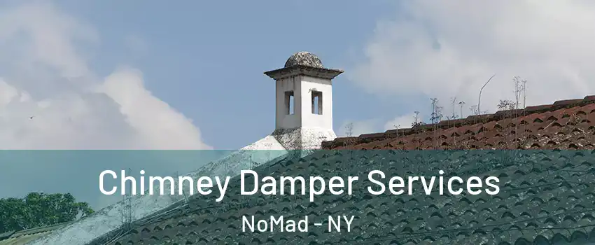Chimney Damper Services NoMad - NY