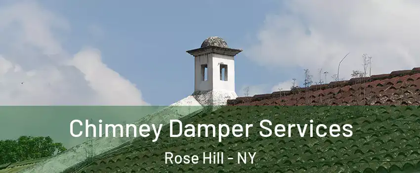 Chimney Damper Services Rose Hill - NY