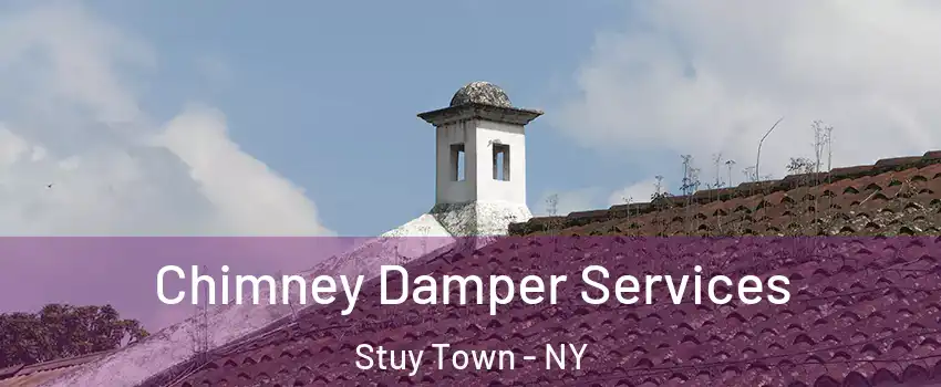 Chimney Damper Services Stuy Town - NY