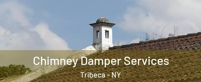 Chimney Damper Services Tribeca - NY