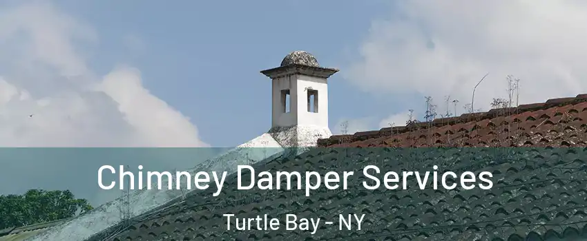 Chimney Damper Services Turtle Bay - NY