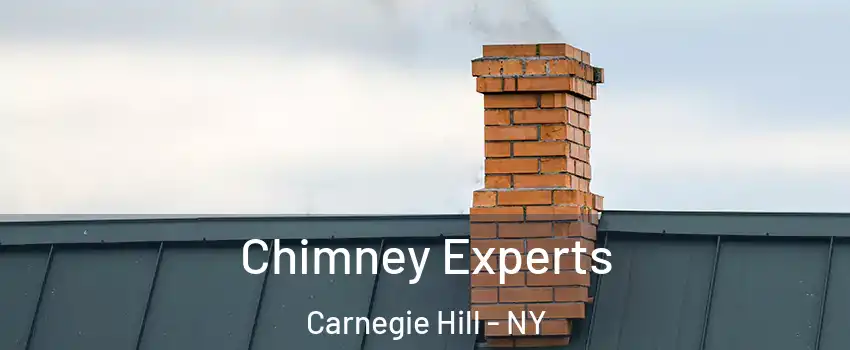 Chimney Experts Carnegie Hill - NY