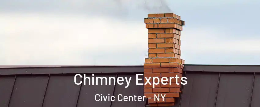 Chimney Experts Civic Center - NY