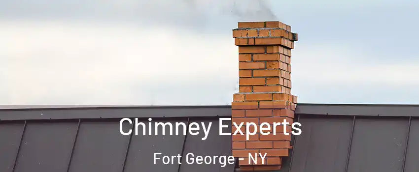 Chimney Experts Fort George - NY