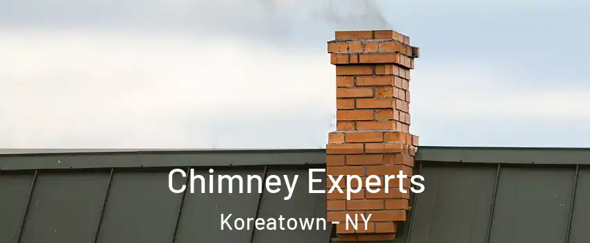 Chimney Experts Koreatown - NY