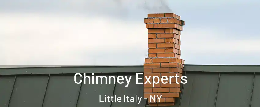 Chimney Experts Little Italy - NY