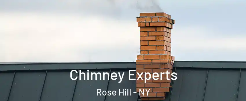 Chimney Experts Rose Hill - NY