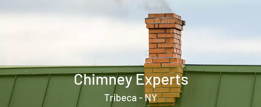 Chimney Experts Tribeca - NY