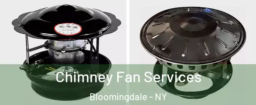 Chimney Fan Services Bloomingdale - NY