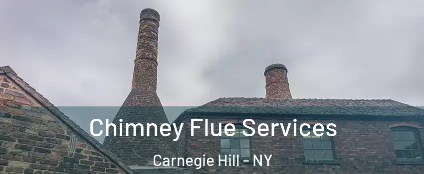 Chimney Flue Services Carnegie Hill - NY