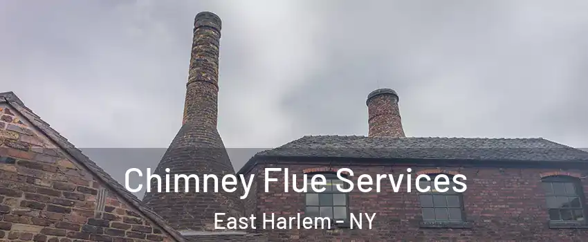 Chimney Flue Services East Harlem - NY