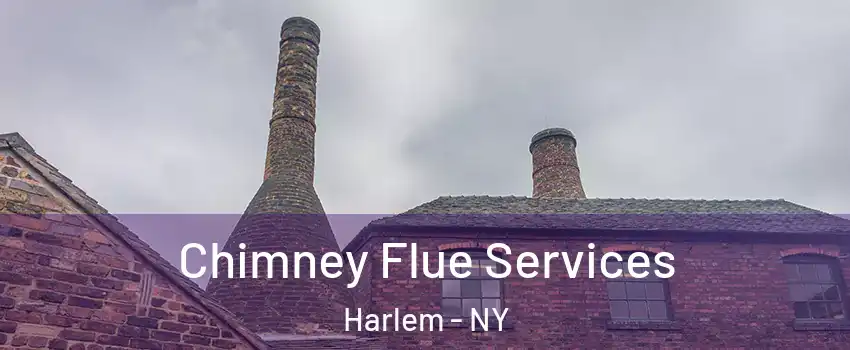 Chimney Flue Services Harlem - NY