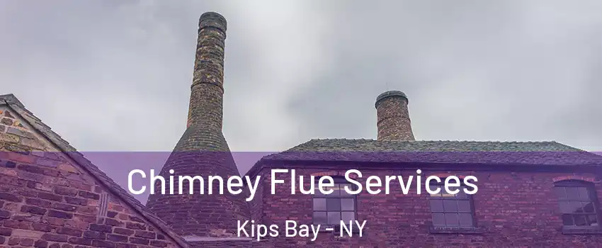 Chimney Flue Services Kips Bay - NY