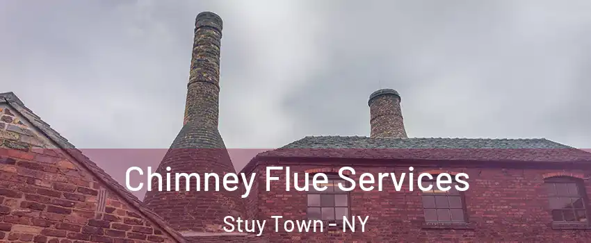 Chimney Flue Services Stuy Town - NY