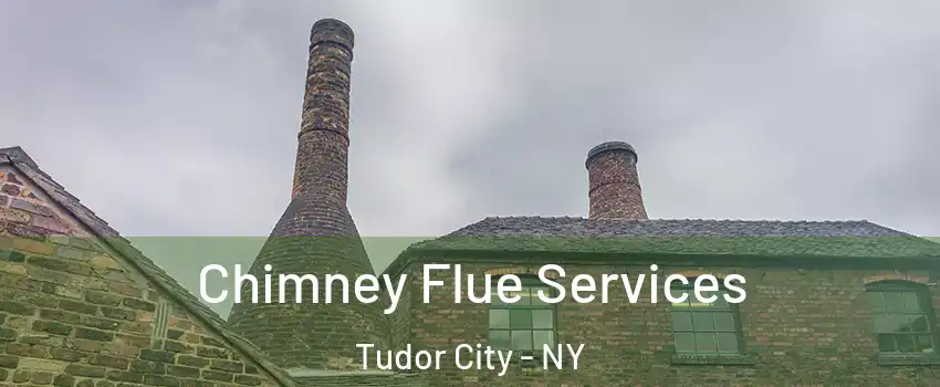 Chimney Flue Services Tudor City - NY