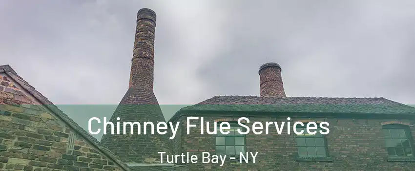 Chimney Flue Services Turtle Bay - NY