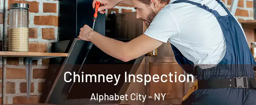 Chimney Inspection Alphabet City - NY