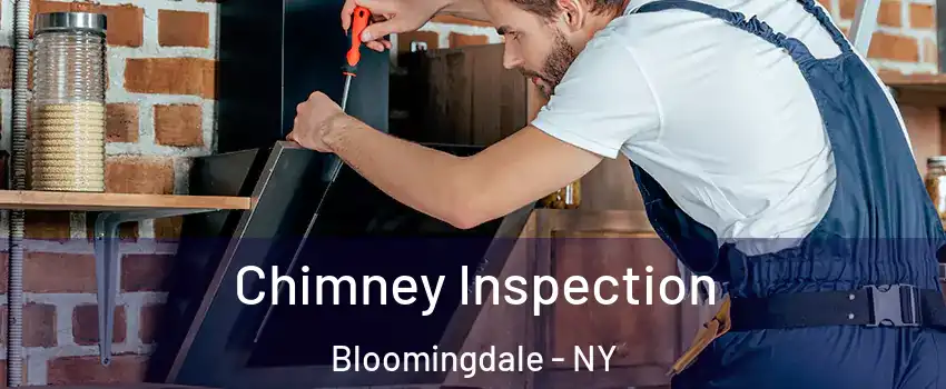 Chimney Inspection Bloomingdale - NY