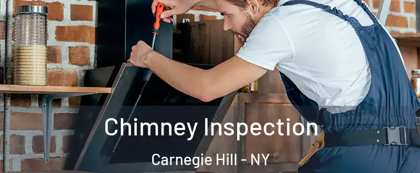 Chimney Inspection Carnegie Hill - NY