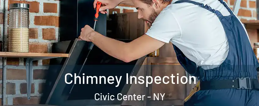 Chimney Inspection Civic Center - NY