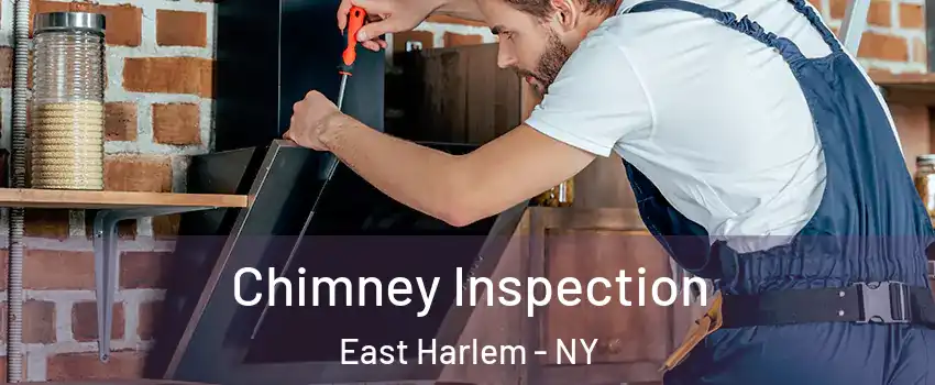 Chimney Inspection East Harlem - NY