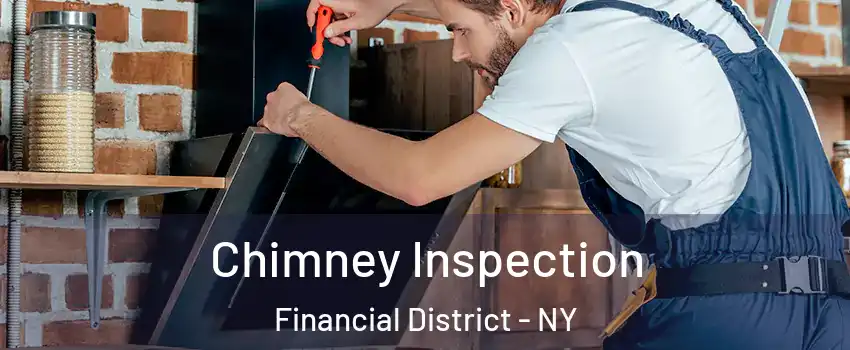 Chimney Inspection Financial District - NY