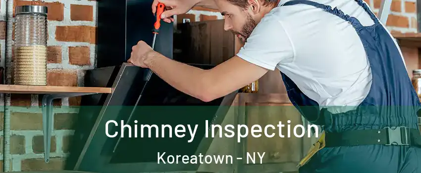 Chimney Inspection Koreatown - NY